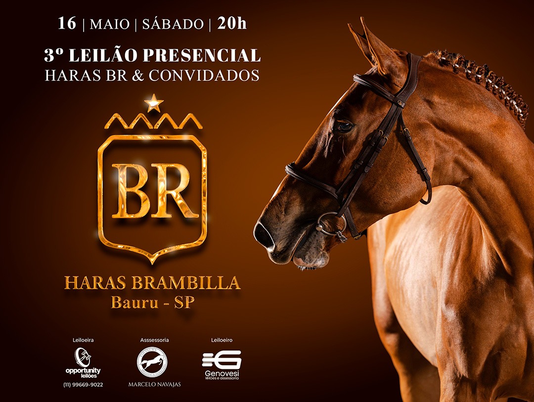 3° LEILÃO PRESENCIAL HARAS BR