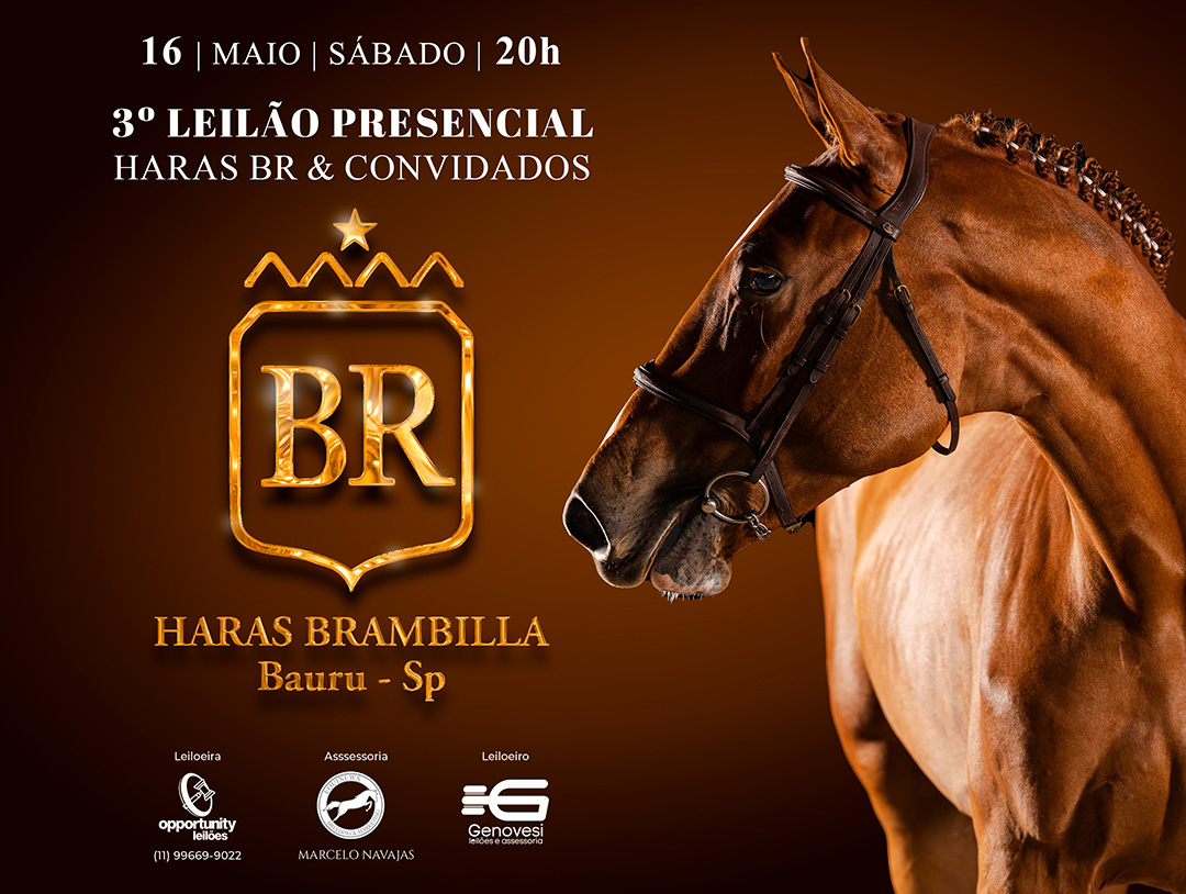 3° LEILÃO PRESENCIAL HARAS BR