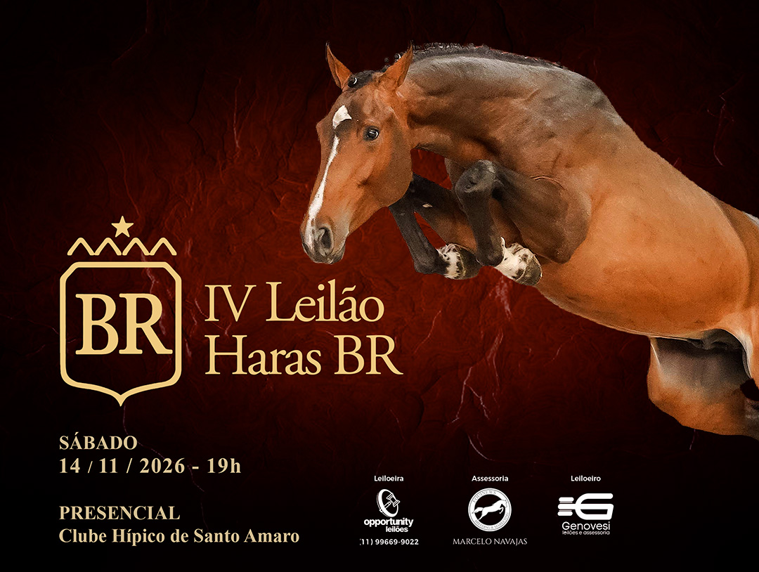 IV LEILÃO HARAS BR