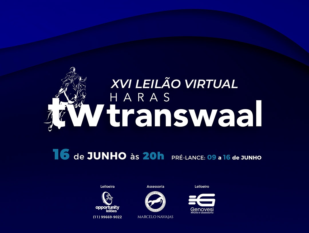 XVI LEILÃO VIRTUAL HARAS TRANSWAAL