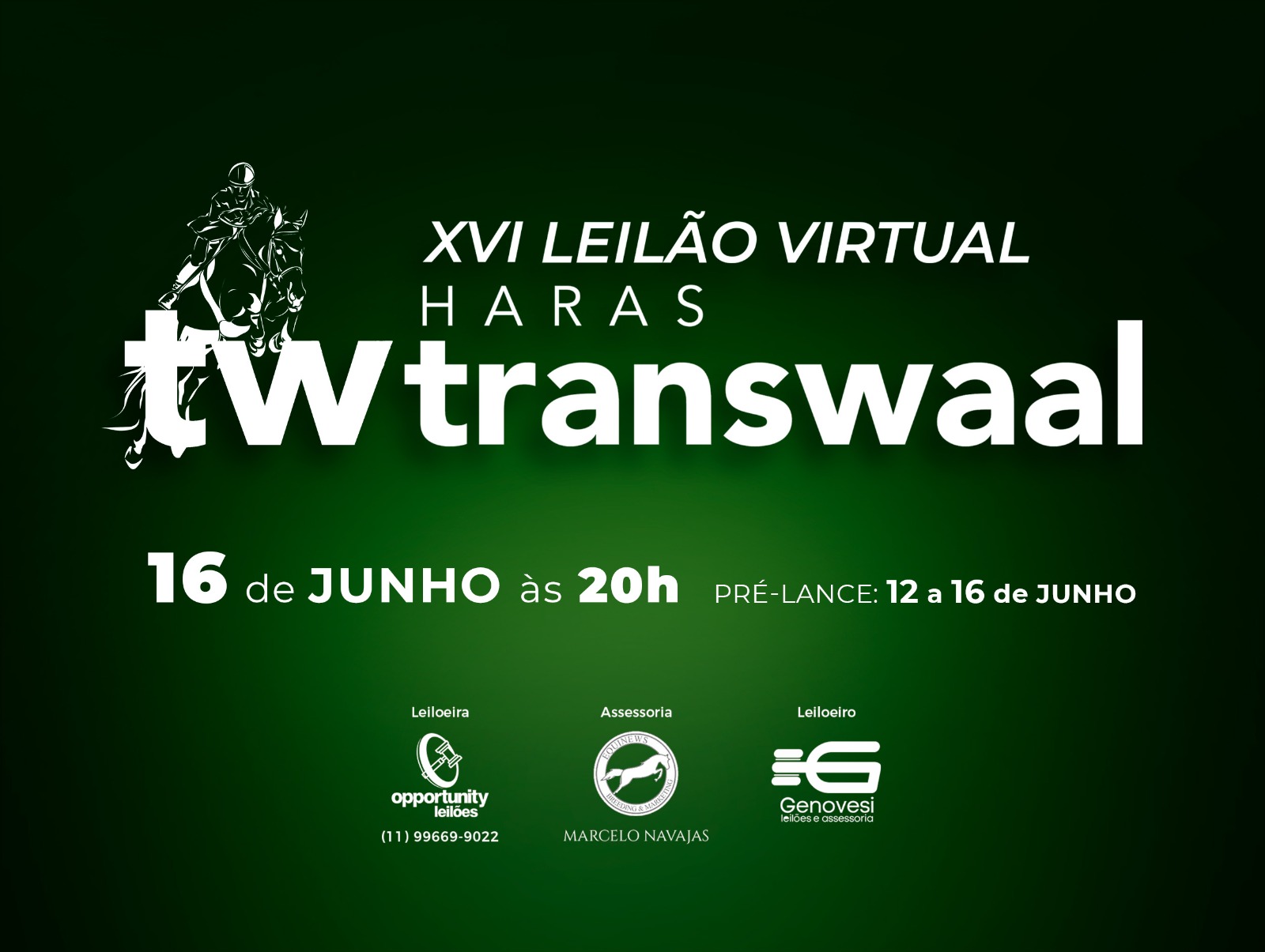 XVI LEILÃO VIRTUAL HARAS TRANSWAAL