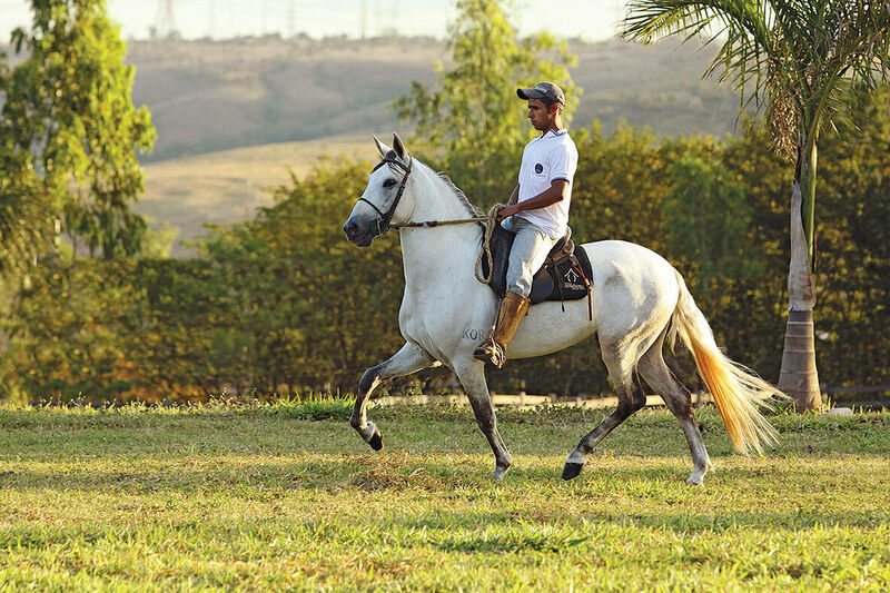 MH Uniformes - Mestre Cuca Longo