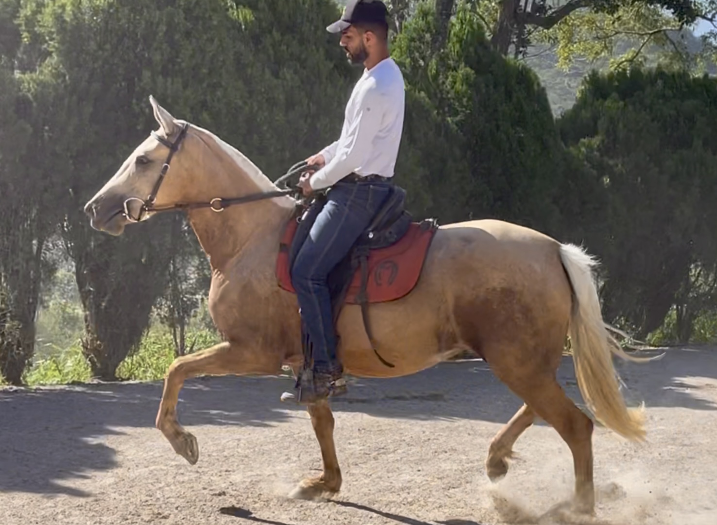 BRISA CENTRAL DO MARCHADOR