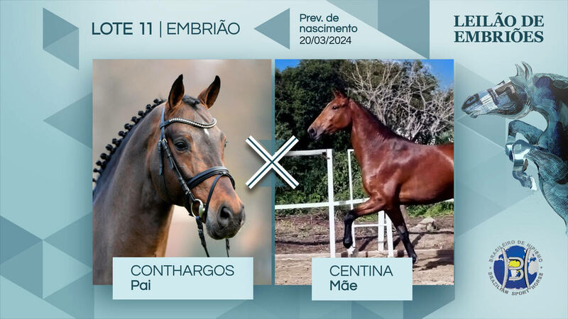 Foto CONTHARGOS X RBR CENTINA DU ROUET (CENTUS)