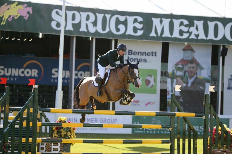 TANGELO VAN DE ZUUTHOEVE X BABALOU AMOR (BALOUBET DU ROUET)