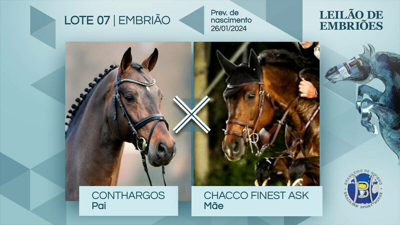 Foto CONTHARGOS X CHACCO FINEST ASK (CHACCO BLUE)