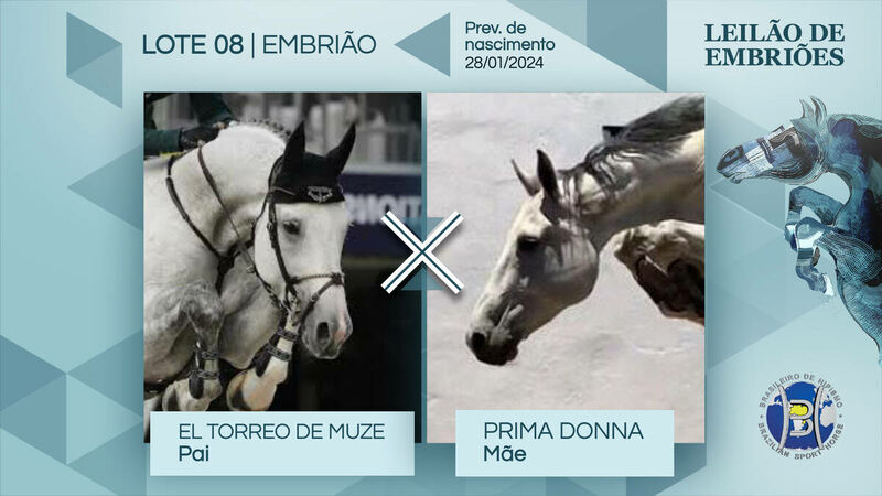 Foto EL TORREO DE MUZE X  PRIMA DONNA (INDOCTRO)