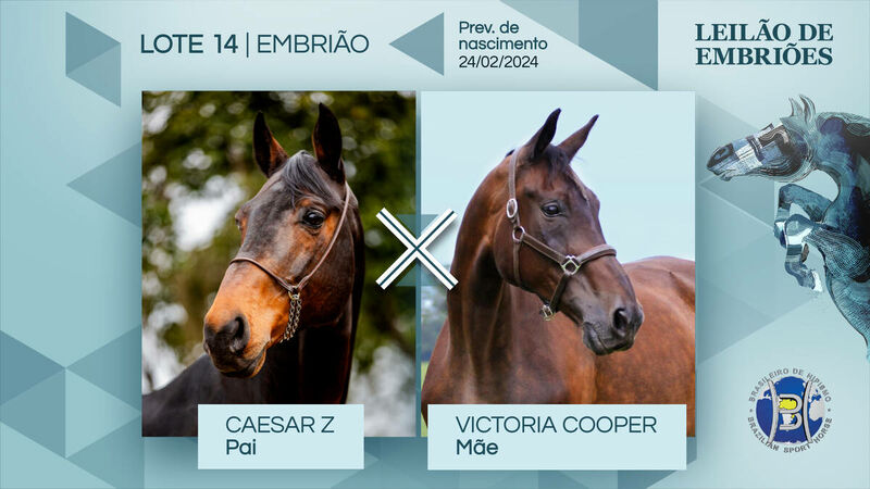 Foto CAESAR Z X VICTORIA COOPER (CONCORDE)