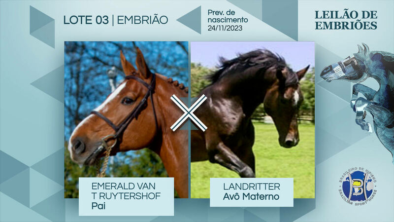 Foto EMERALD VAN T RUYTERSHOF X LAND INDORADA MYSTIC ROSE (LANDRITTER) -