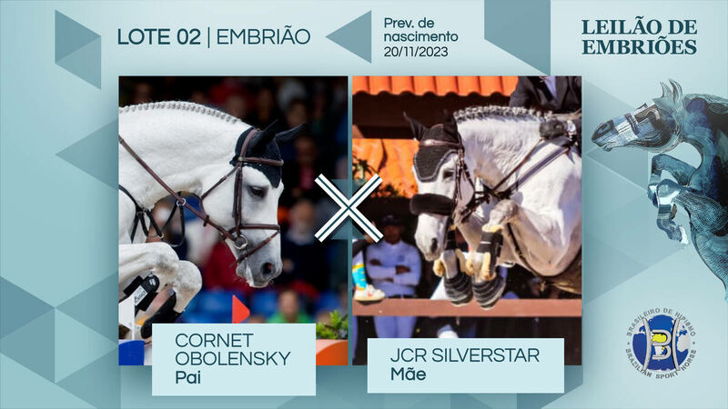 Foto CORNET OBOLENSKY X JCR SILVERSTAR (SILVERSTONE)