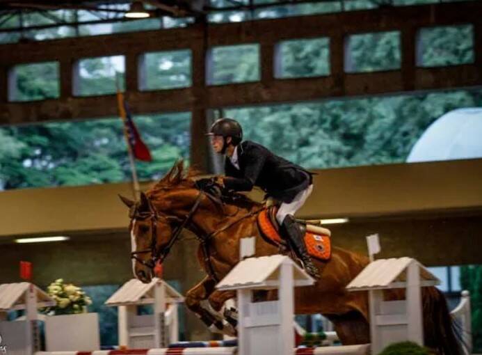 CARDENTO X BACAROLE VDL (ARGENTINUS)