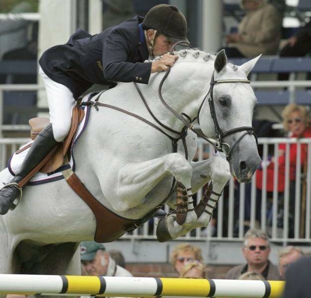 CARDENTO X BACAROLE VDL (ARGENTINUS)