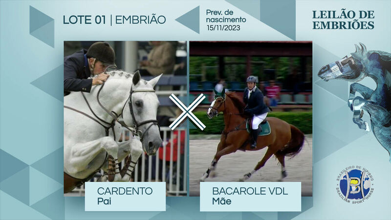 Foto CARDENTO X BACAROLE VDL (ARGENTINUS)
