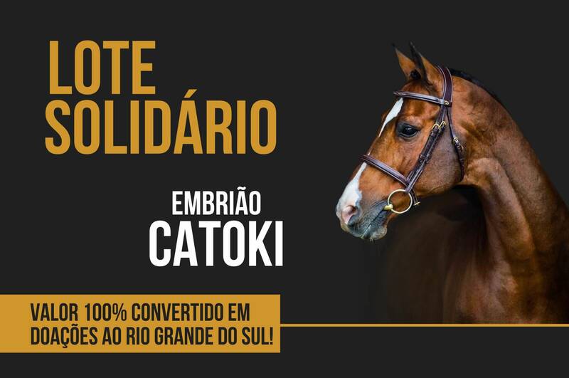 LOTE SOLIDARIO EM PROL DO RS - 100% DO VALOR ARRECADADO SERÁ DOADO.