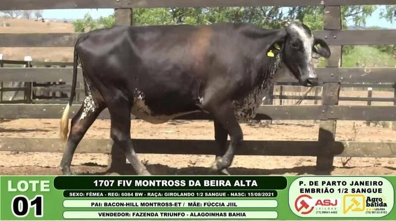 1707 FIV MONTROSS DA BEIRA ALTA