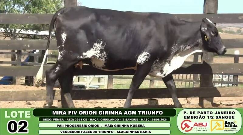 MIRA FIV ORION GIRINHA AGM TRIUNFO