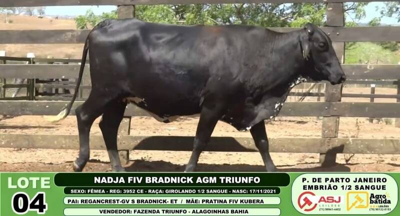 NADJA FIV BRADNICK AGM TRIUNFO