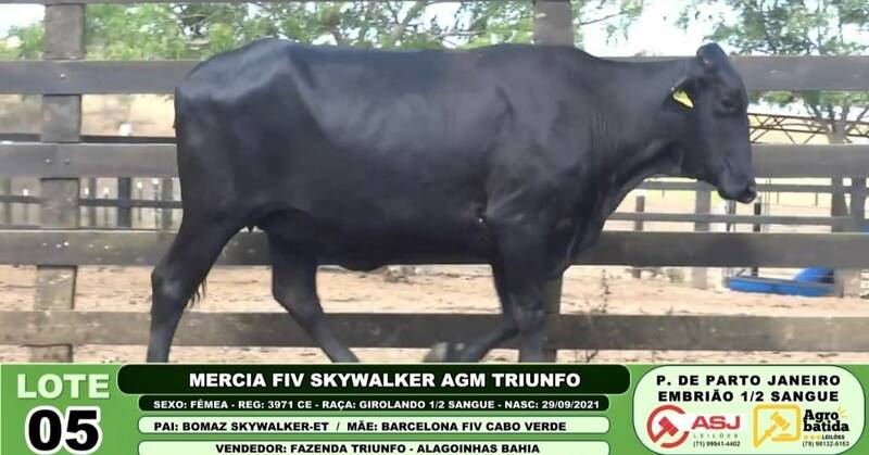 MERCIA FIV SKYWALKER AGM TRIUNFO