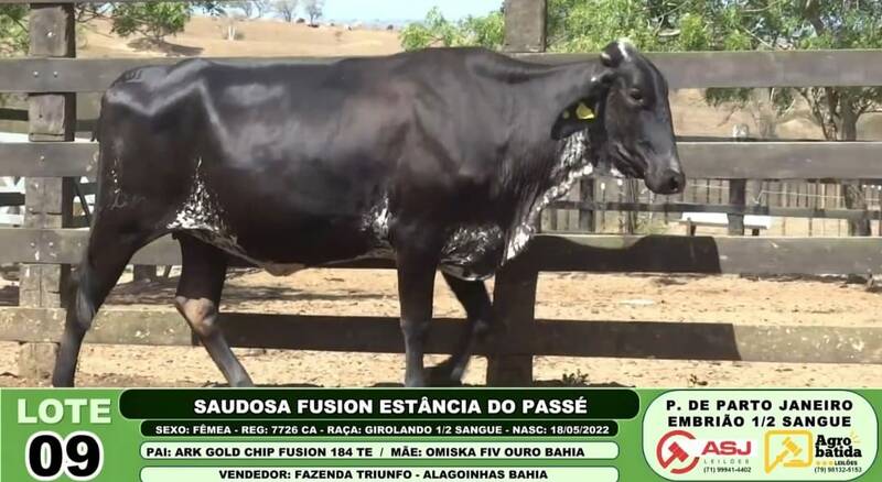 SAUDOSA FUSION ESTÂNCIA DO PASSÉ