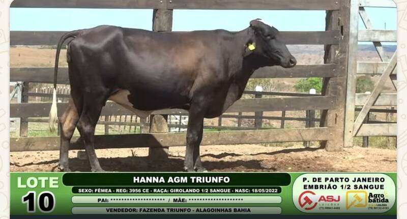 HANNA AGM TRIUNFO