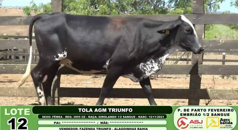 TOLA AGM TRIUNFO