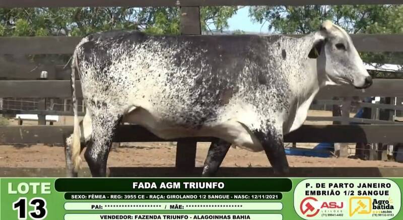 FADA AGM TRIUNFO