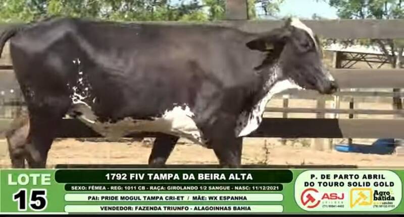 1792 FIV TAMPA DA BEIRA ALTA