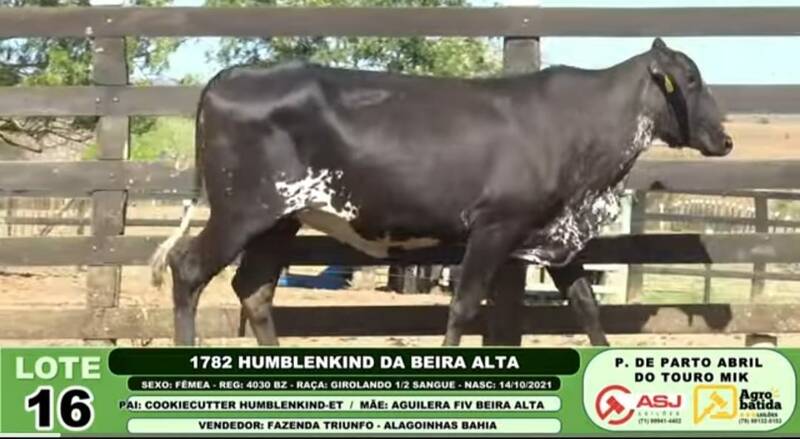 1782 HUMBLENKIND DA BEIRA ALTA