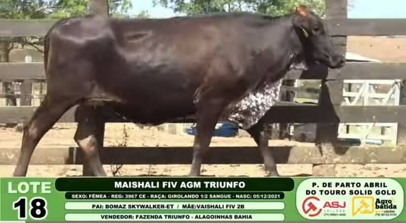 MAISHALI FIV AGM TRIUNFO