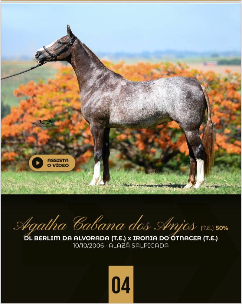 (50.0%) AGATHA CABANA DOS ANJOS ( T.E)