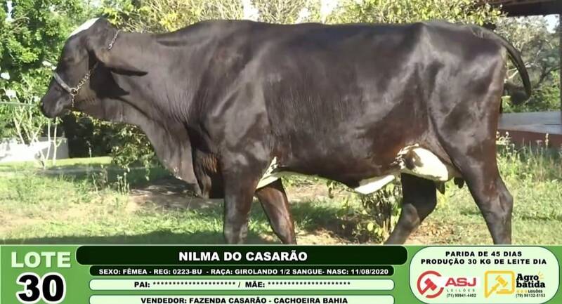 NILMA DO CASARÃO