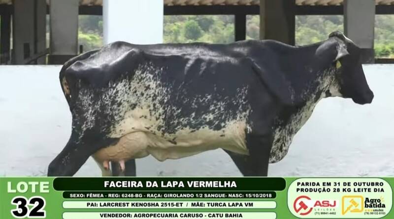 FACEIRA DA LAPA VERMELHA