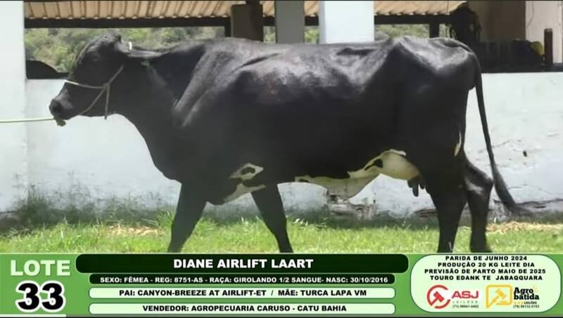 DIANE AIRLIFT LAART