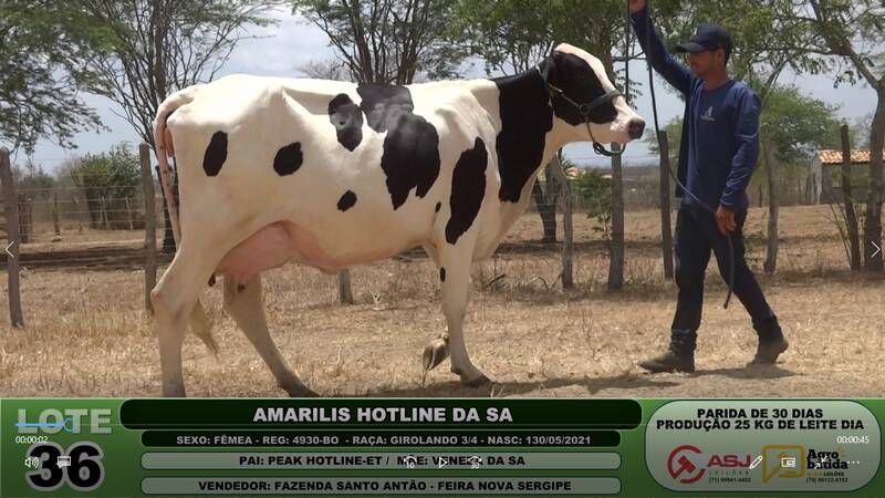 AMARILIS HOTLINE DA SA