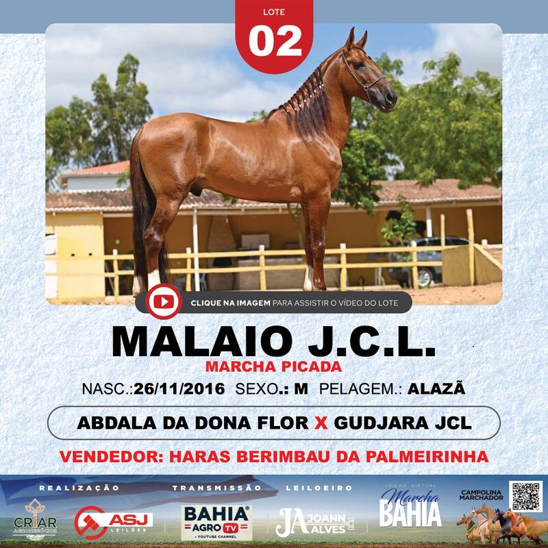 MALAIO J.C.L.