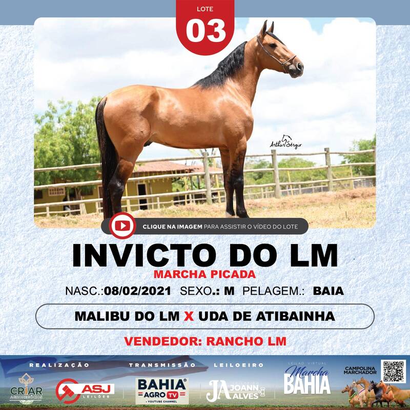 INVICTO O LM