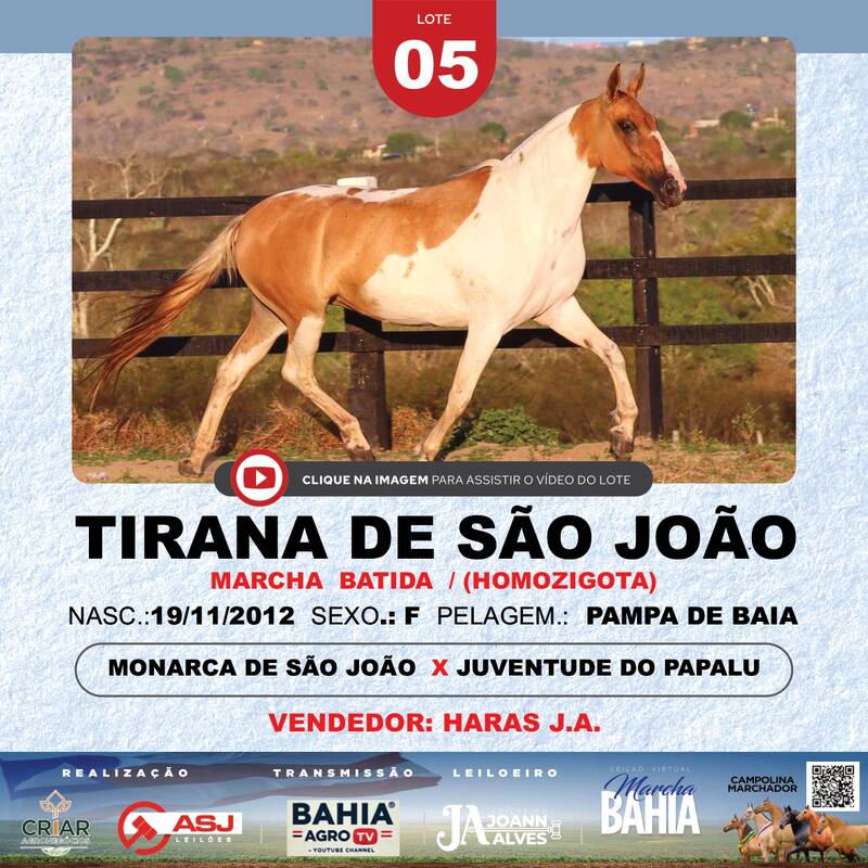 TIRANA DE SÃO JOÃO