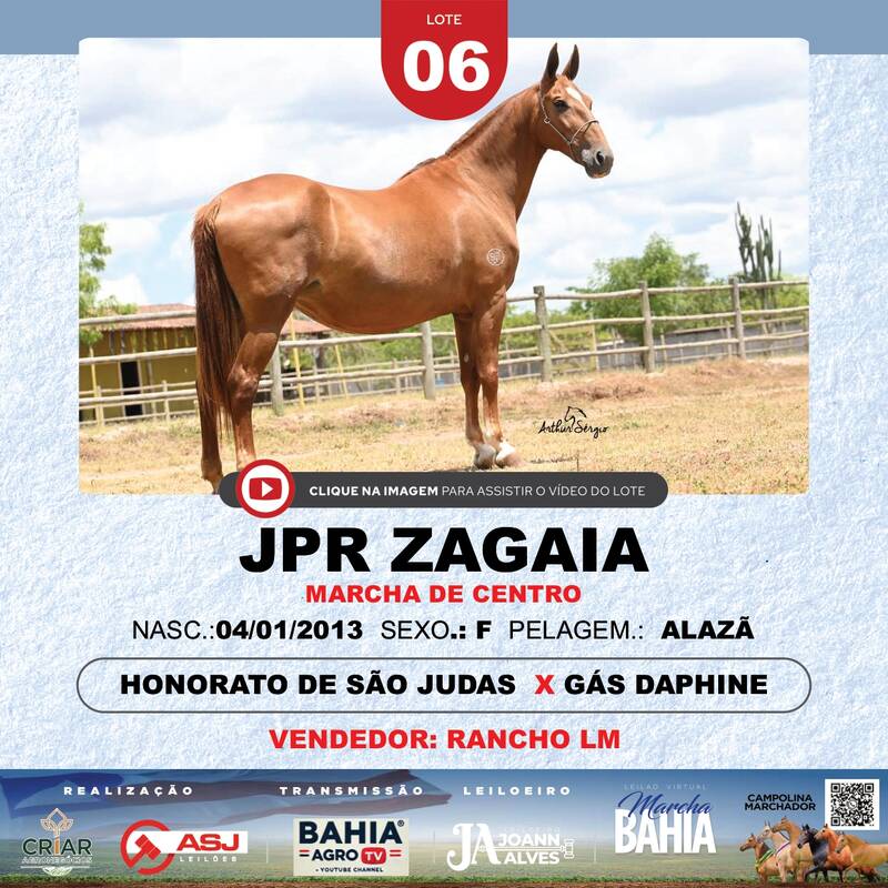 JPR ZAGAIA