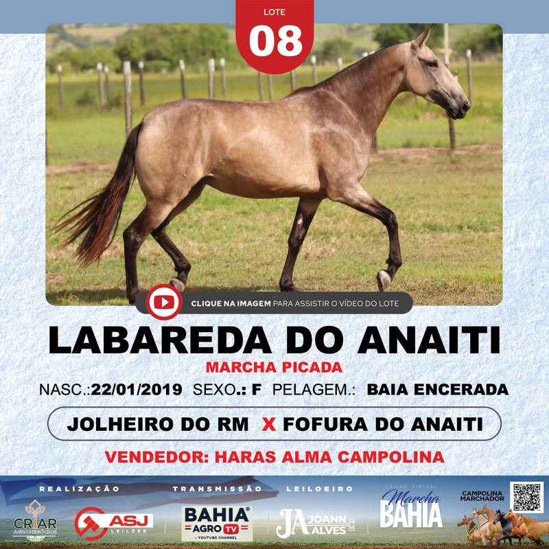 LABAREDA DO ANAITI