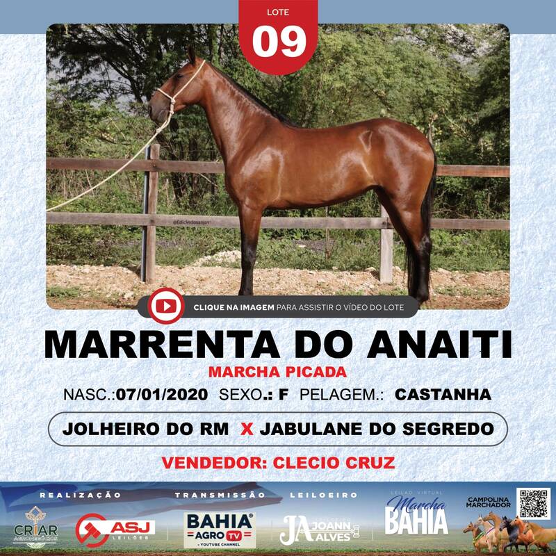 MARRENTA DO ANAITI