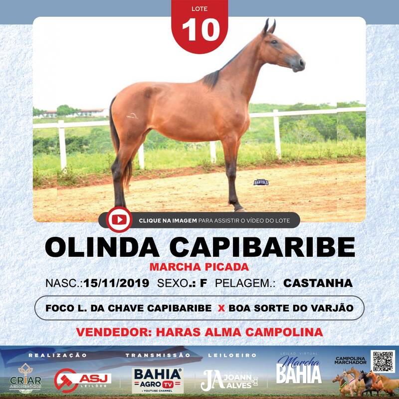 OLINDA CAPIBARIBE