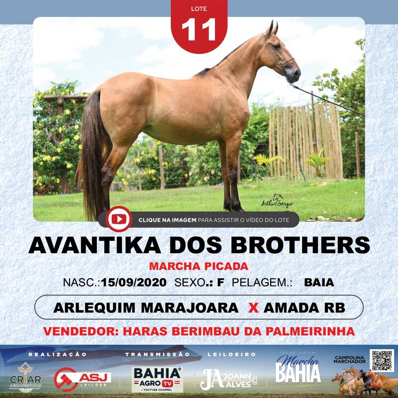 AVANTIKA DOS BROTHERS