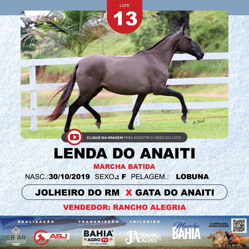 LENDA DO ANAITI