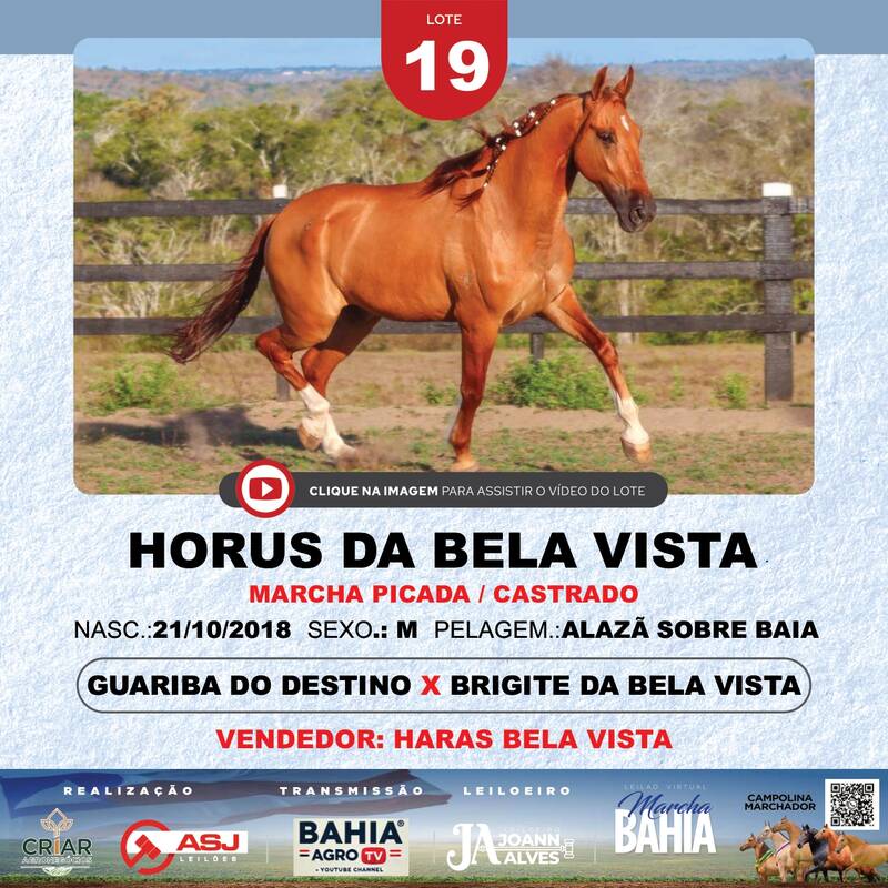 HORUS DA BELA VISTA