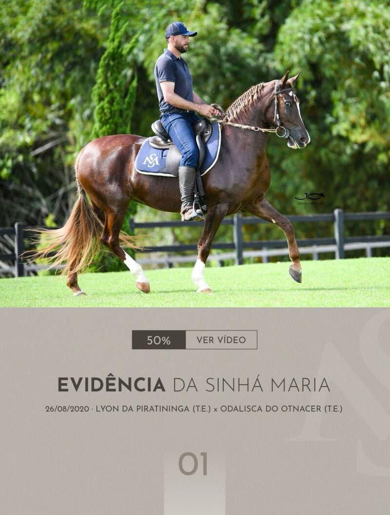 Foto (50.0%) EVIDÊNCIA DA SINHÁ MARIA