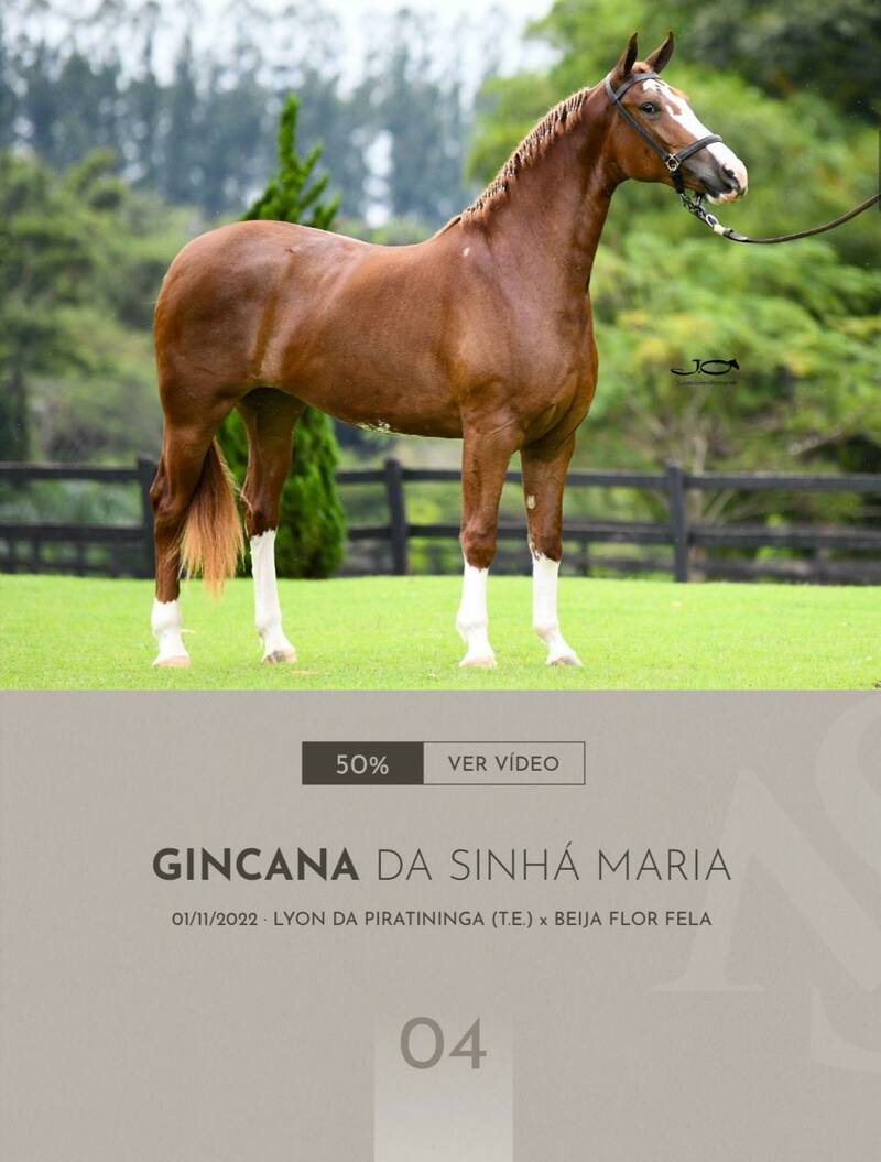 Foto (50.0%) GINCANA DA SINHÁ MARIA