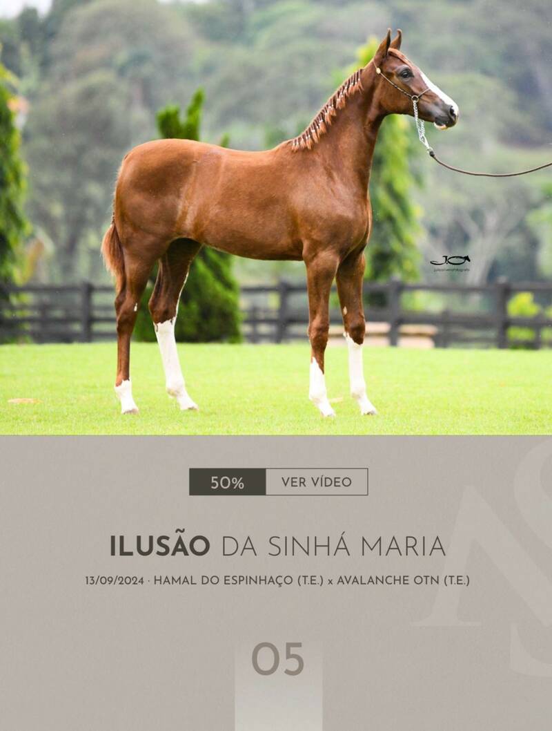 Foto (50.0%) ILUSÃO DA SINHÁ MARIA