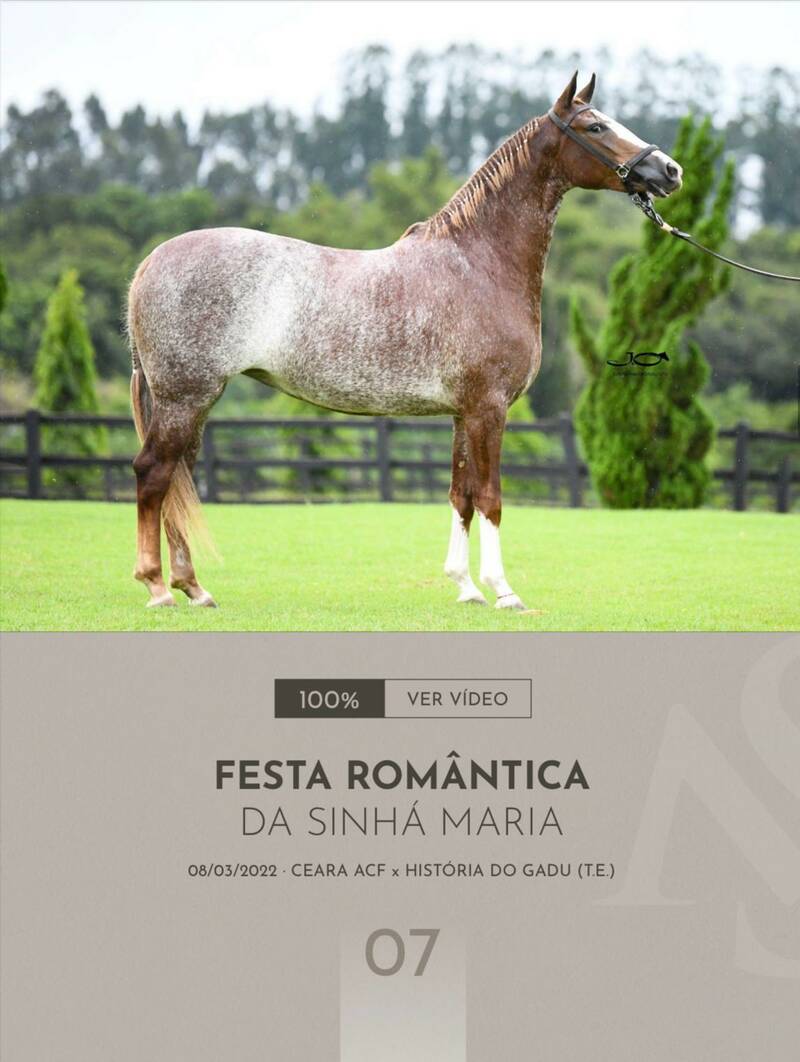 Foto (100.0%) FESTA ROMÂNTICA DA SINHÁ MARIA
