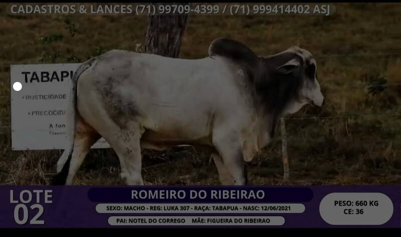Foto ROMEIRO DO RIBEIRAO