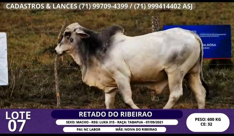 Foto RETADO DO RIBEIRAO